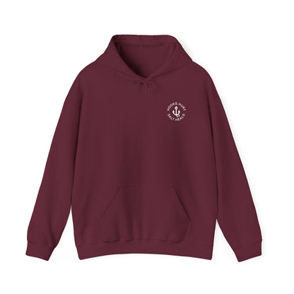 SALT HEALS HOODIE