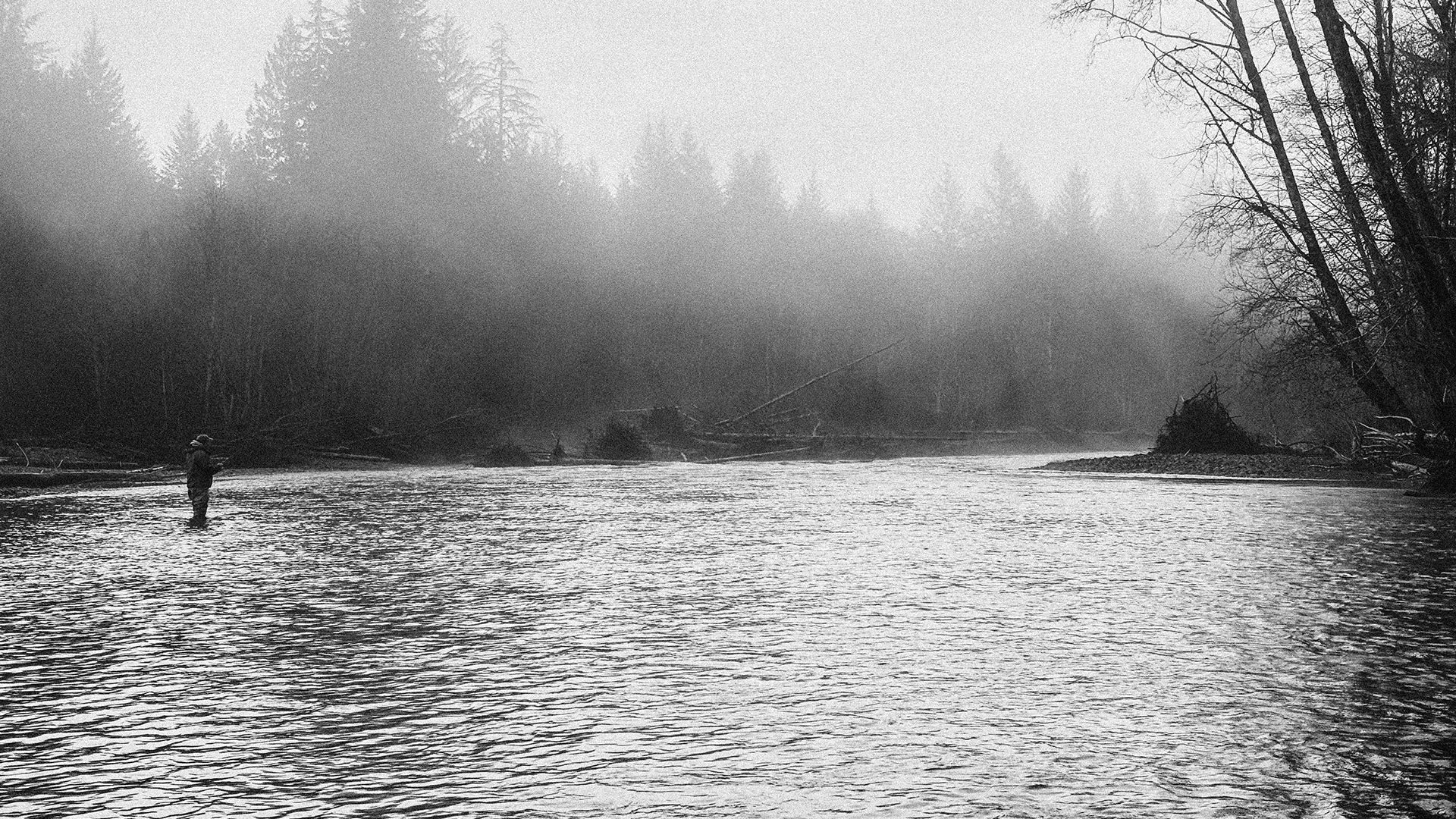 Person fishing in a river surrounded by foggy forest